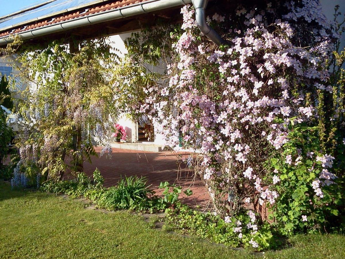 Ferienwohnung Buxheim  Exteriér fotografie